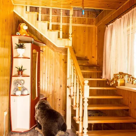 Penzion Synevyrskyj Chardash Siněvir