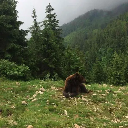 Synevyrskyj Chardash Penzion Siněvir