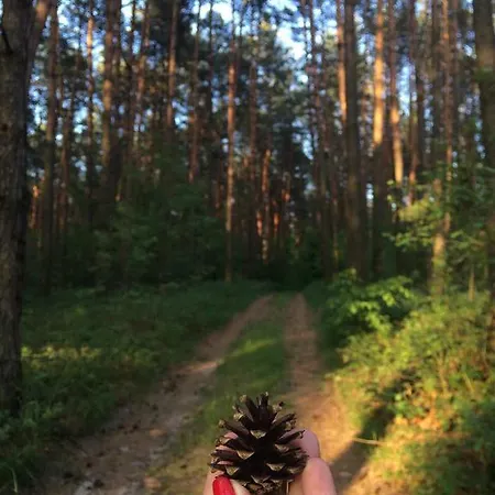 Synevyrskyj Chardash Penzion