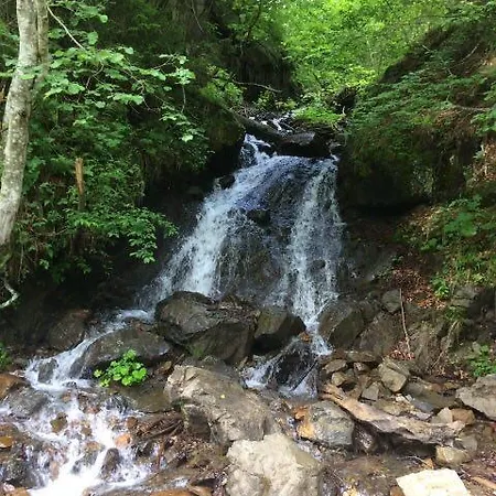 Synevyrskyj Chardash 3*