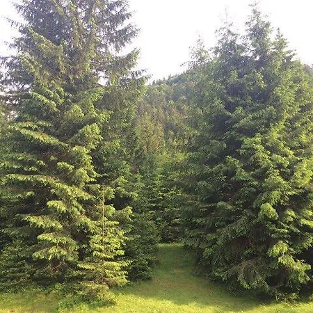 Synevyrskyj Chardash