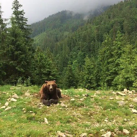 Synevyrskyj Chardash 3* Siněvir