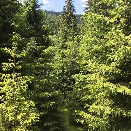 Penzion Synevyrskyj Chardash