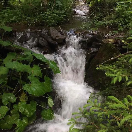 Synevyrskyj Chardash Penzion Siněvir