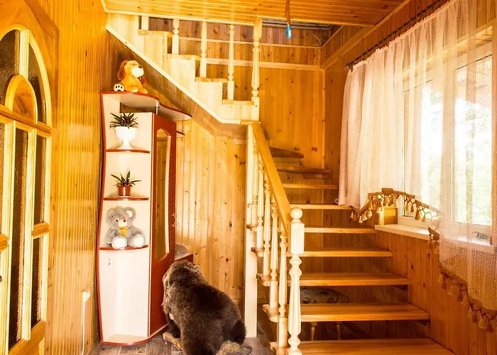 Casa de hóspedes Synevyrskyj Chardash Synevyr